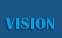 Vision